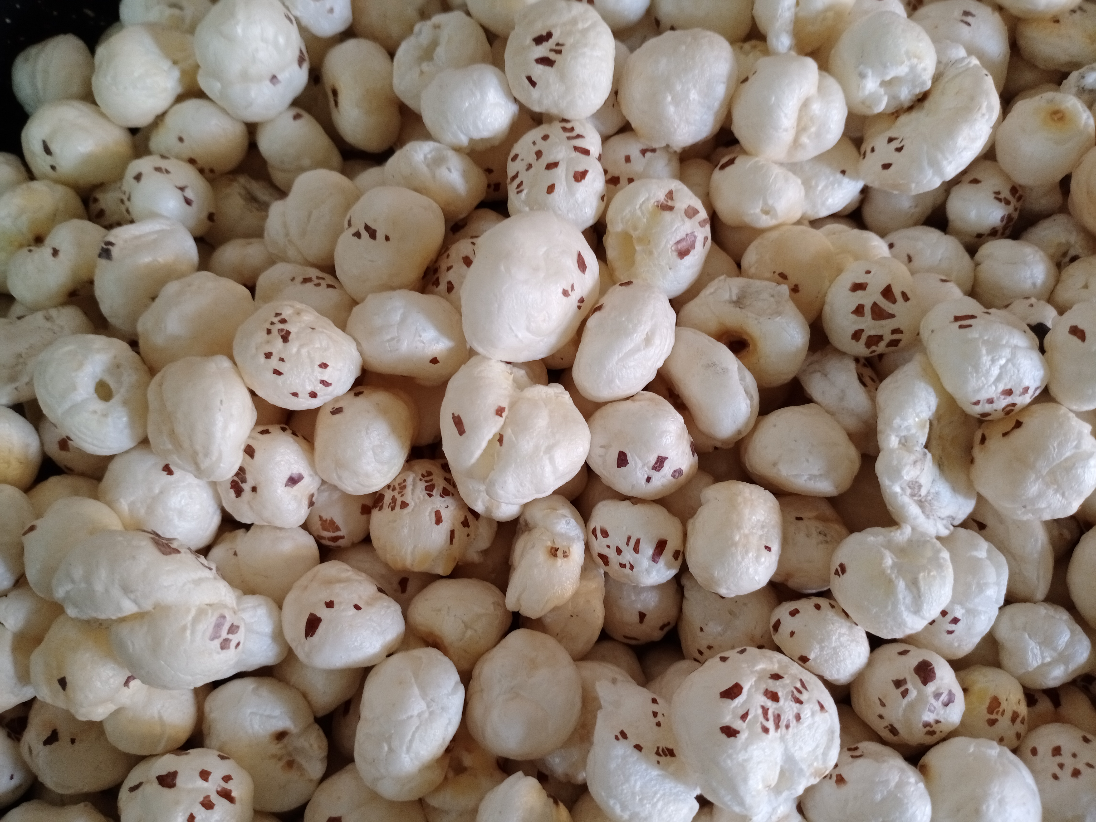 Makhana photographed in Nawada district, Bihar. Context photograph; not the Purnea export consignment.